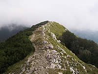 Vojnak, Ucka National Park